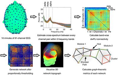 Longitudinal Bedside Assessments of Brain Networks in Disorders of Consciousness: Case Reports From the Field